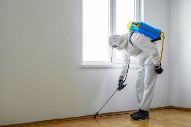 Best Cockroach Control Services  in Muskegon, MI