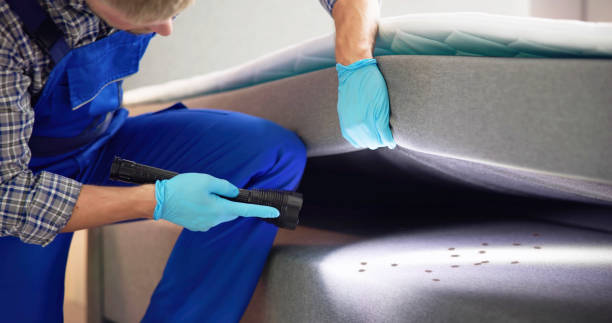 Reliable Muskegon, MI Pest Control Solutions