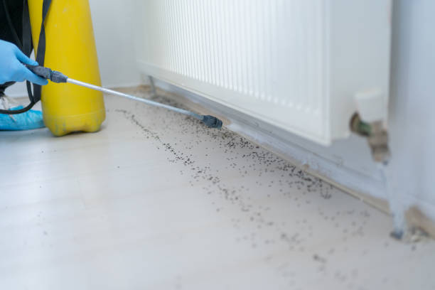 Best Pest Prevention Services  in Muskegon, MI