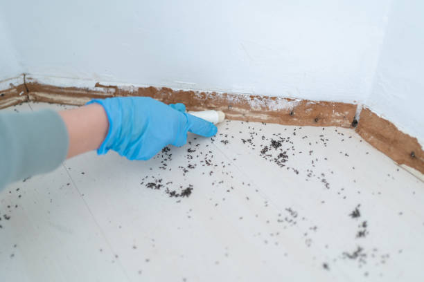 Best Wildlife Control Services  in Muskegon, MI