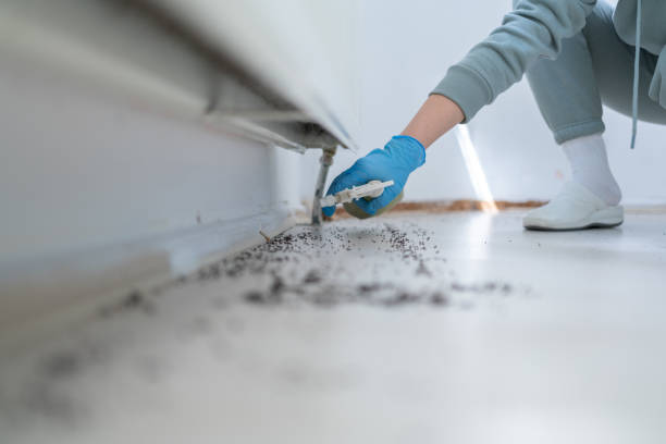  Muskegon, MI Pest Control Pros